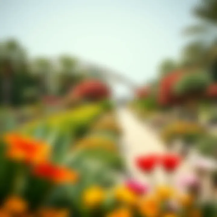Magnificent Navigating the Miracle Garden in Dubai: A Detailed Exploration