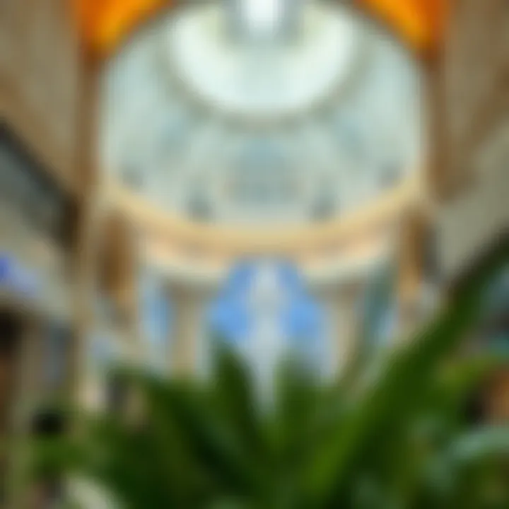 Magnificent The Urban Edge: An Exploration of City Centre Al Zahia