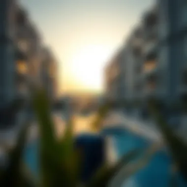 Luxurious Community Amenities in Al Nahda Community amenities like pool and gym facilities