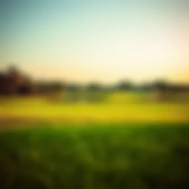 Lush green fairways and pristine golf course scenery