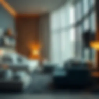 Exploring the Dynamics of Furnished Room Rentals in Dubai Summary
