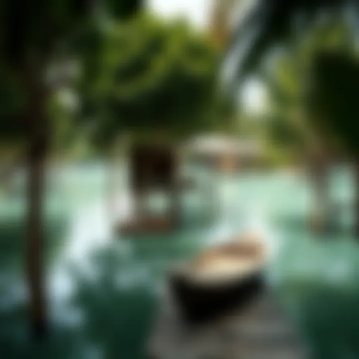 Notable Exploring the Dynamics of Mangrove Villages