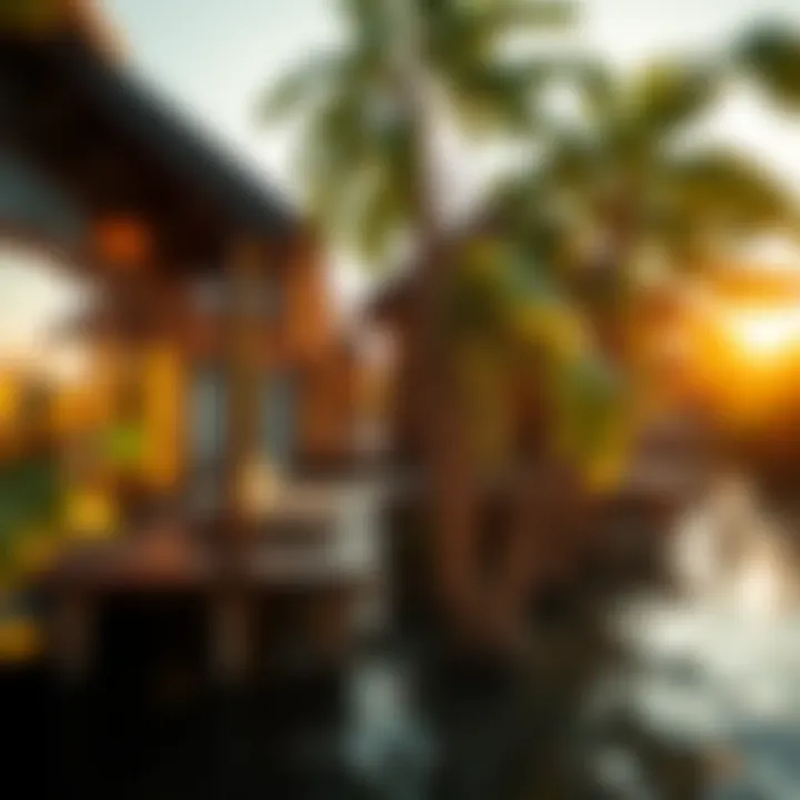 Exploring the Dynamics of Mangrove Villages Summary