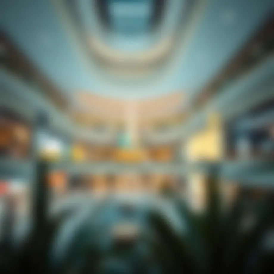 مول هيلز: An In-Depth Exploration of Hills Mall in Dubai's Real Estate Landscape Introduction