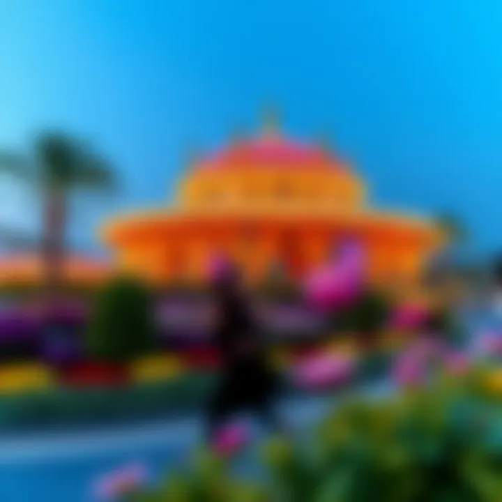 Navigating the Miracle Garden in Dubai: A Detailed Exploration Summary