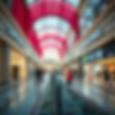 Notable Shopping Experience at Sahara Mall: Insights and Perspectives