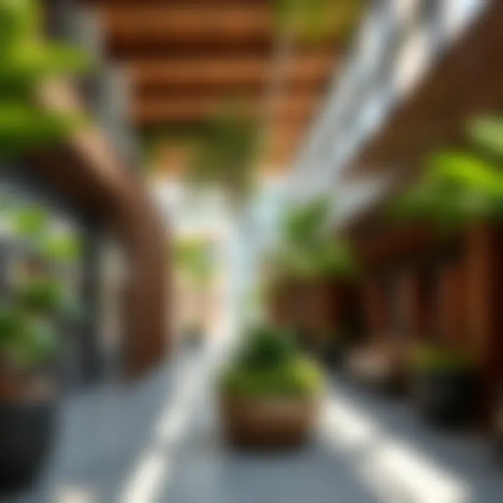Notable The Green Planet City Walk in Dubai: An Exploration of Sustainability and Urban Life